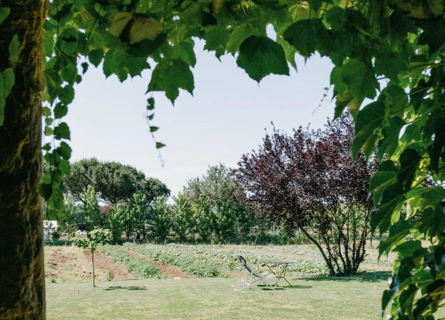 Can Serra 1786 Llagostera Farmház